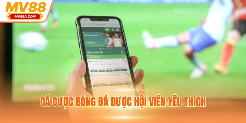 Cá Cược Bóng Đá MV88 Trực Tiếp, Nhận Thưởng Xanh Chín 2 Cá cược bóng đá được hội viên yêu thích
